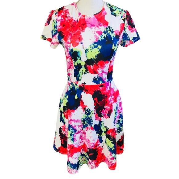 Milly for Design Nation Vibrant Spring Dress Size 4 - Picture 1 of 3
